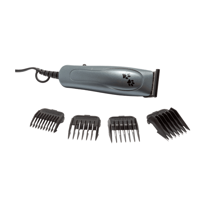 Shop Secondary Image